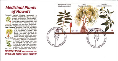 Medicinal Plants FDC